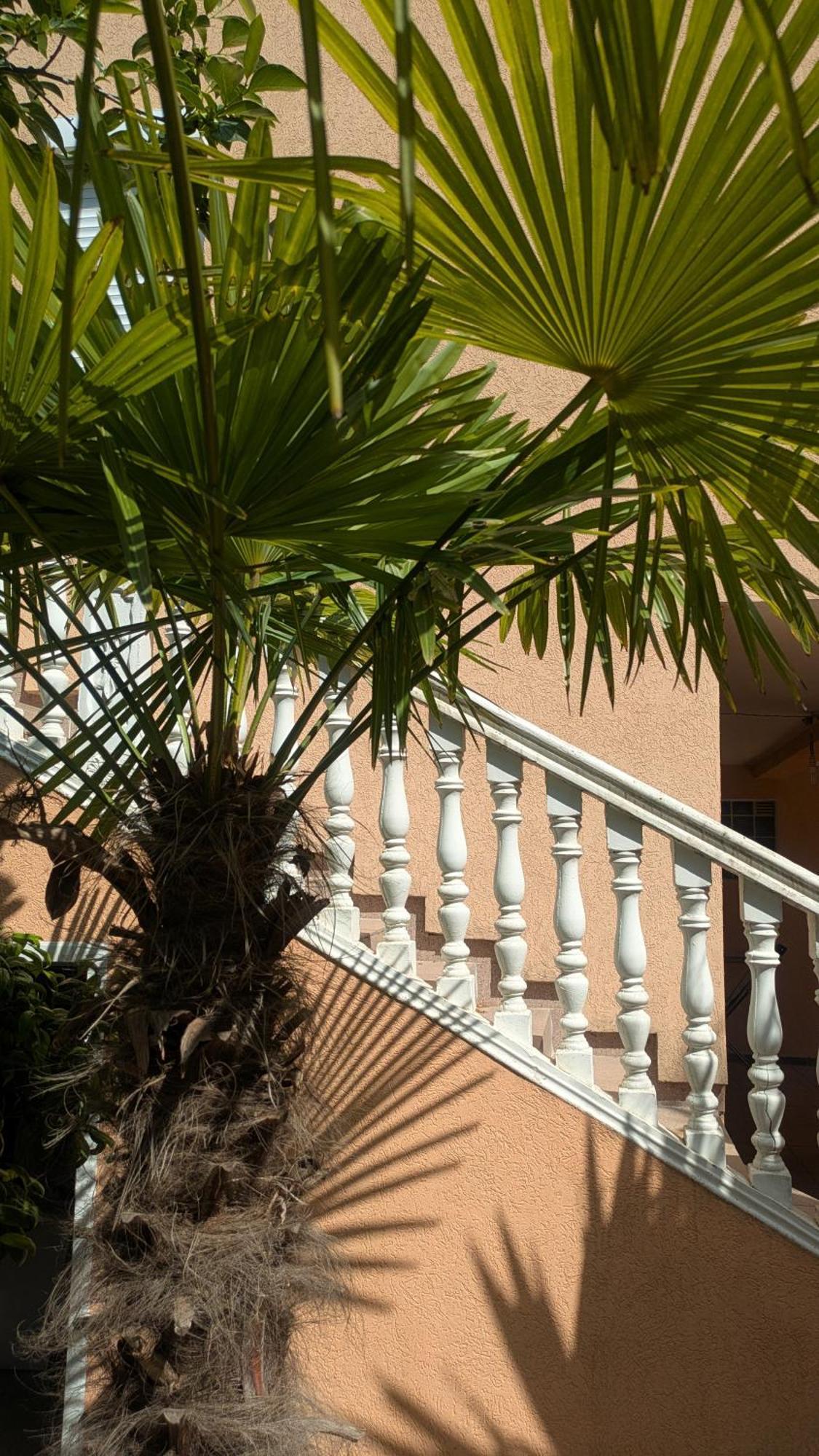 Apartments Montenegrina Ulcinj Exterior foto